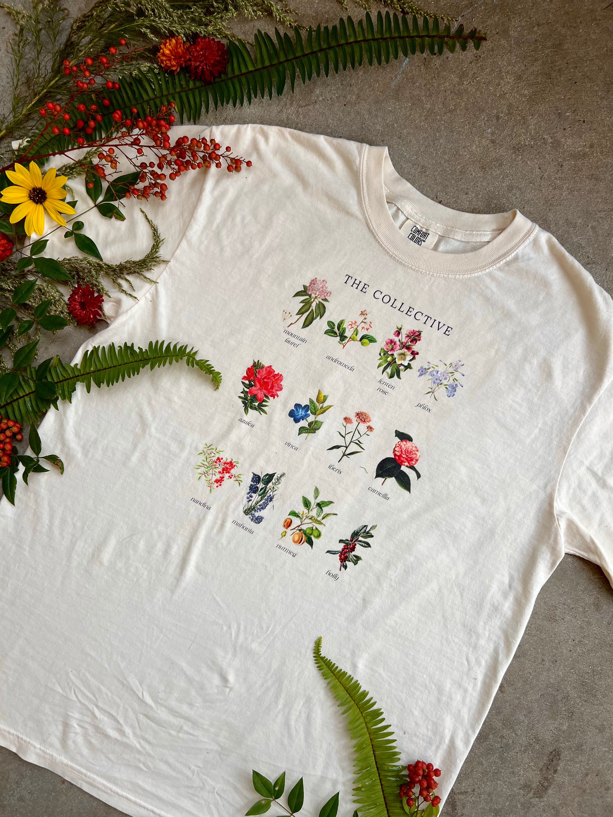 the Evergreen Collective shirt
