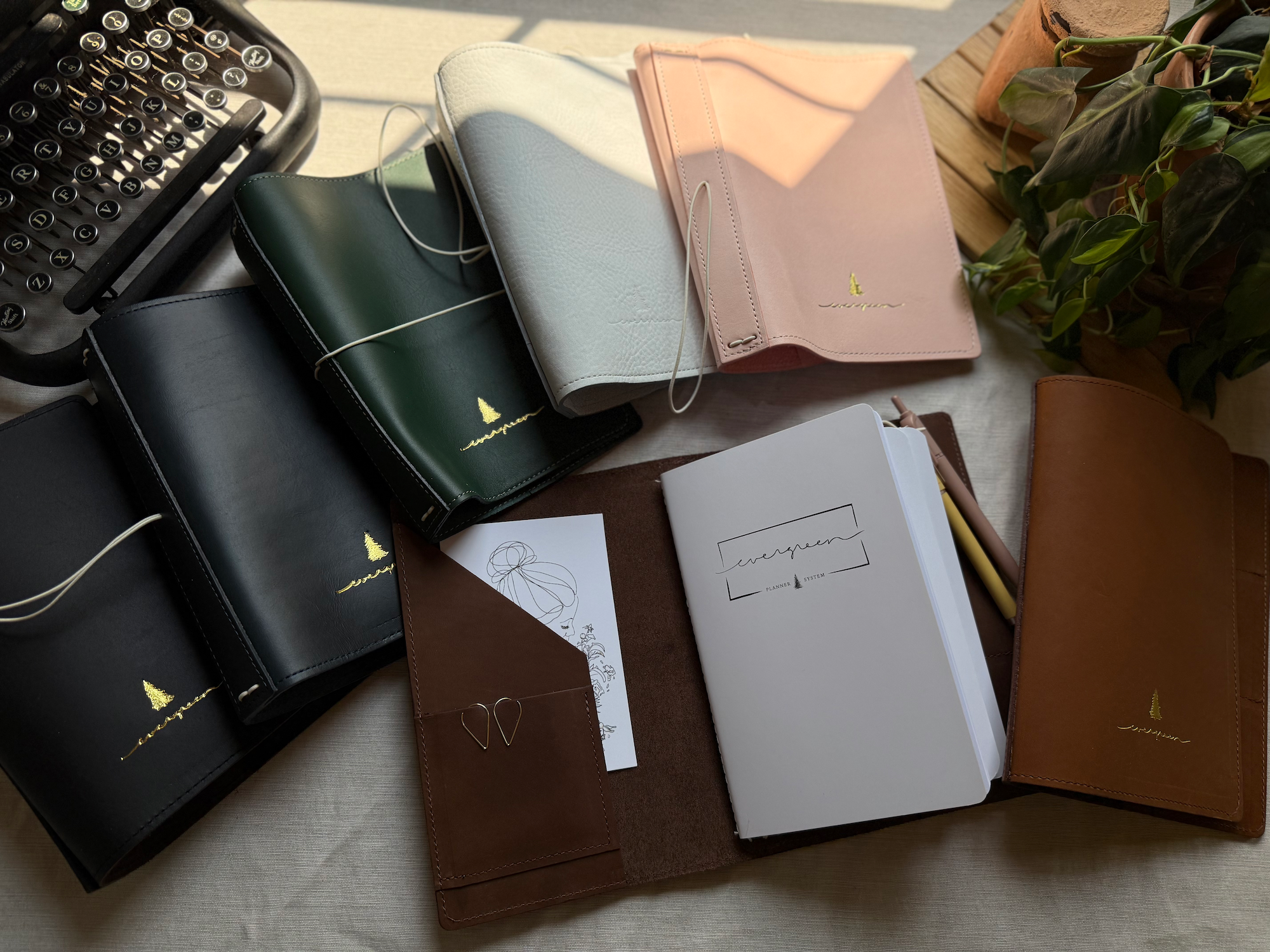 Covers & Sleeves
