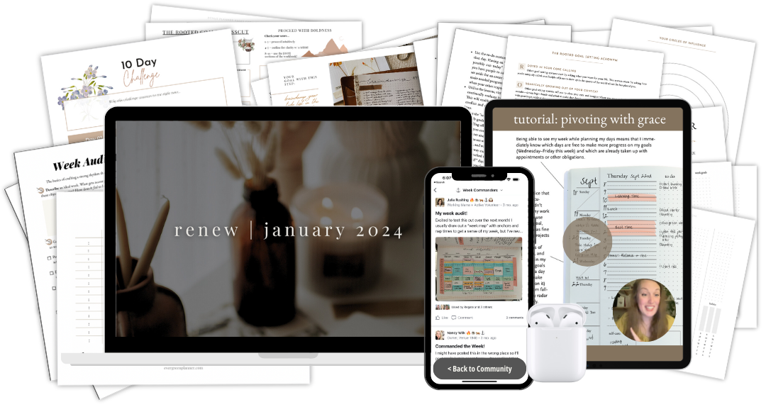 renew | january 2024