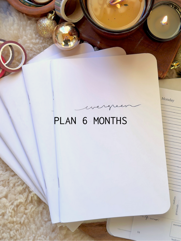 The Classic Day Planner