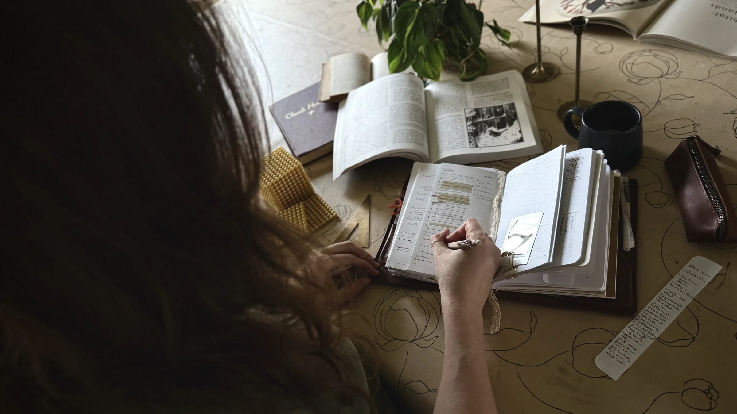 Several slim white Evergreen booklets with script lettering, fanned across a pale desk beside a plant, a candle, washi tape and a floral print.
